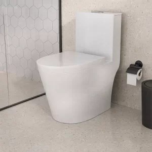 Vaso Sanitário Monobloco – Caixa Acoplada