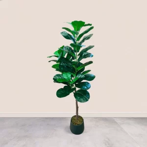 Planta Ficus Lyrata Artificial Grande
