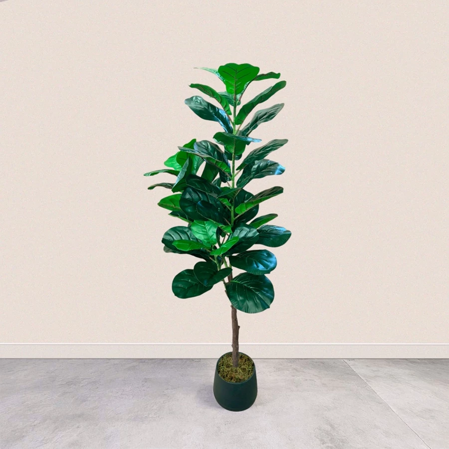 Planta Ficus Lyrata Artificial Grande